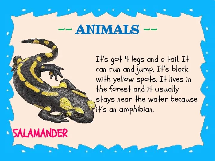 -- ANIMALS -- It’s got 4 legs and a tail. It can