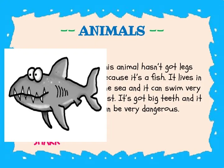 -- ANIMALS -- This animal hasn’t got legs because it’s a fish.