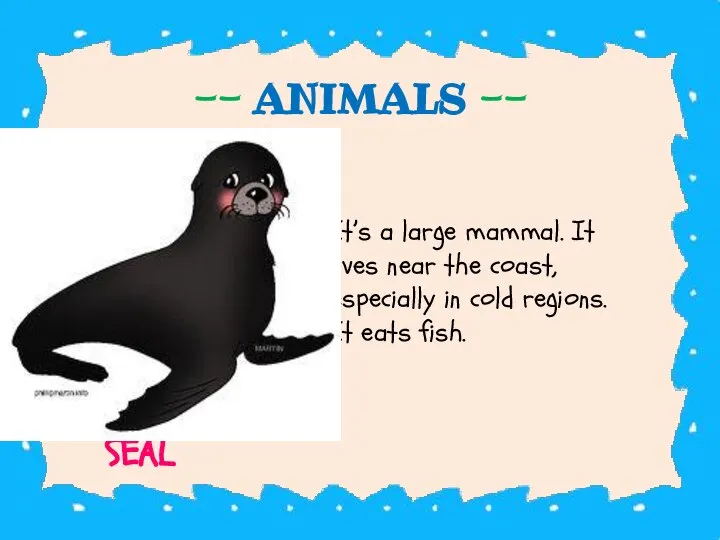 -- ANIMALS -- It’s a large mammal. It lives near the coast,