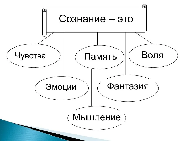 Сознание – это Чувства Эмоции Память Воля Фантазия Мышление