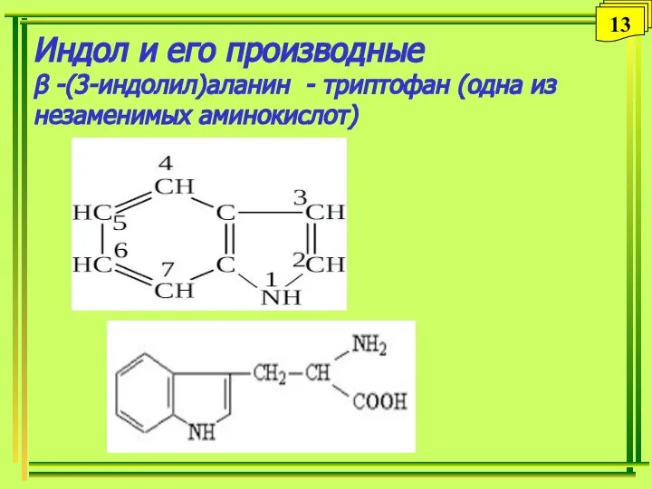 Индол и его производные β -(3-индолил)аланин - триптофан (одна из незаменимых аминокислот) 13