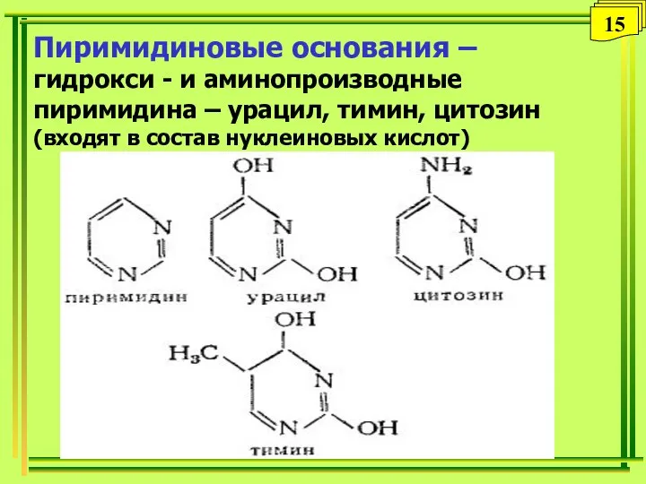 Пиримидиновые основания –гидрокси - и аминопроизводные пиримидина – урацил, тимин, цитозин (входят
