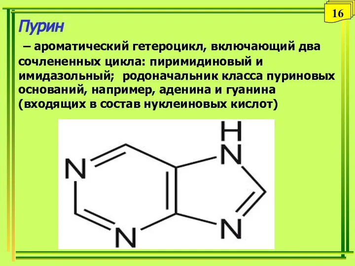 Пурин – ароматический гетероцикл, включающий два сочлененных цикла: пиримидиновый и имидазольный; родоначальник