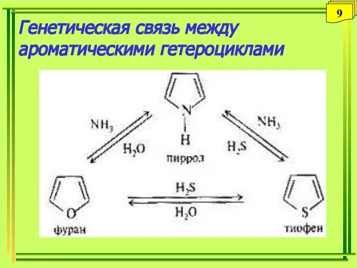 Генетическая связь между ароматическими гетероциклами 9