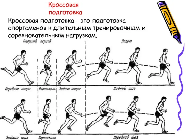 Кроссовая подготовка Кроссовая подготовка - это подготовка спортсменов к длительным тренировочным и соревновательным нагрузкам.