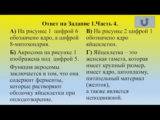 Ответ на Задание 1.Часть 4. А) На рисунке 1 цифрой 6 обозначено