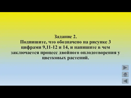 Задание 2. Подпишите, что обозначено на рисунке 3 цифрами 9,11-12 и 14,