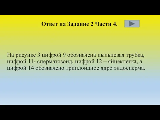 Ответ на Задание 2 Части 4. На рисунке 3 цифрой 9 обозначена