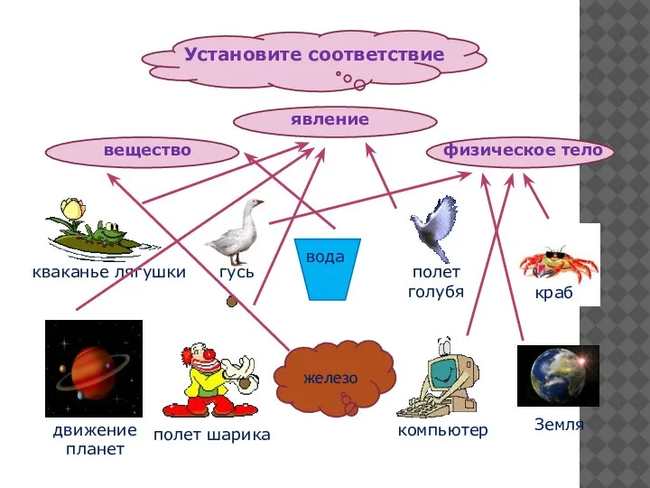 Установите соответствие вещество физическое тело явление железо вода кваканье лягушки краб движение