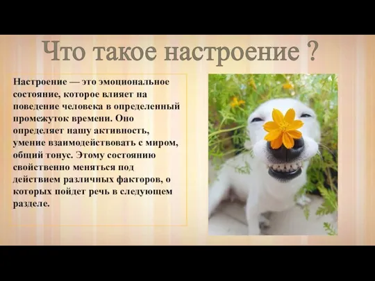 Что такое настроение ? Настроение — это эмоциональное состояние, которое влияет на