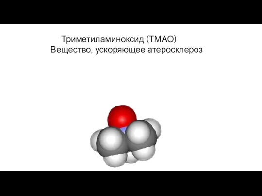 Триметиламиноксид (ТМАО) Вещество, ускоряющее атеросклероз