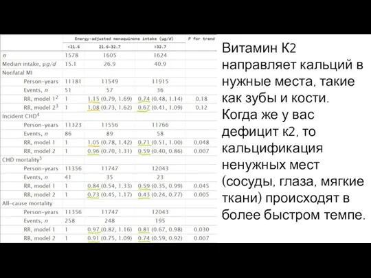 Витамин К2 направляет кальций в нужные места, такие как зубы и кости.