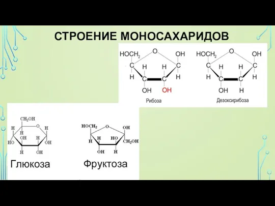 СТРОЕНИЕ МОНОСАХАРИДОВ