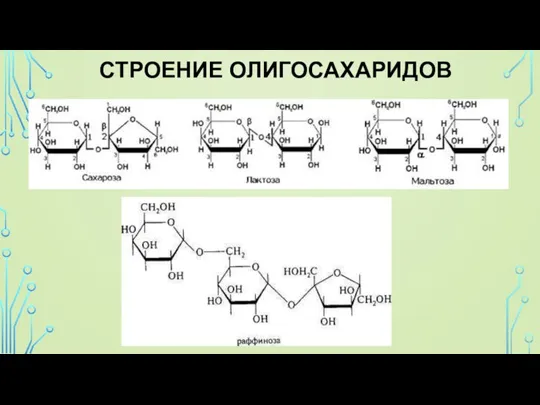 СТРОЕНИЕ ОЛИГОСАХАРИДОВ