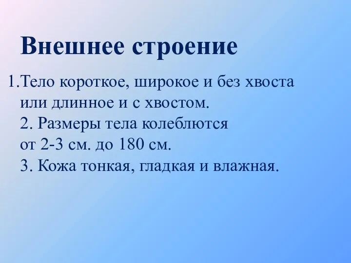 Внешнее строение Тело короткое, широкое и без хвоста или длинное и с