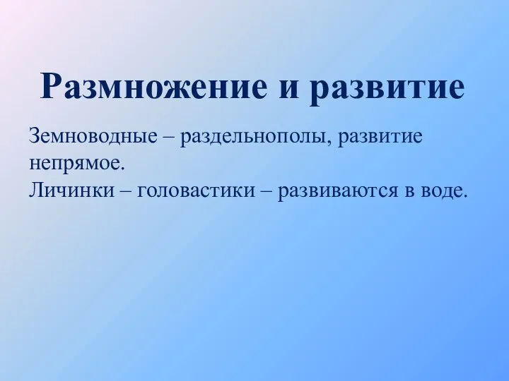 Размножение и развитие Земноводные – раздельнополы, развитие непрямое. Личинки – головастики – развиваются в воде.