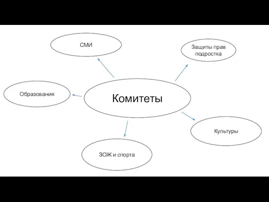 СМИ Комитеты Образования Культуры ЗОЖ и спорта Защиты прав подростка