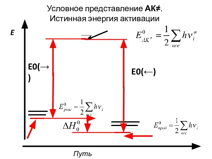 E0(←) Путь реакции E Условное представление АК≠. Истинная энергия активации E0(→)