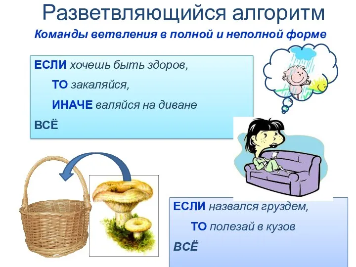 ЕСЛИ хочешь быть здоров, ТО закаляйся, ИНАЧЕ валяйся на диване ВСЁ ЕСЛИ