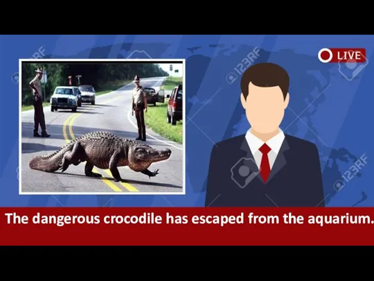 The dangerous crocodile has escaped from the aquarium.