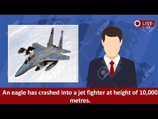 An eagle has crashed into a jet fighter at height of 10,000 metres.