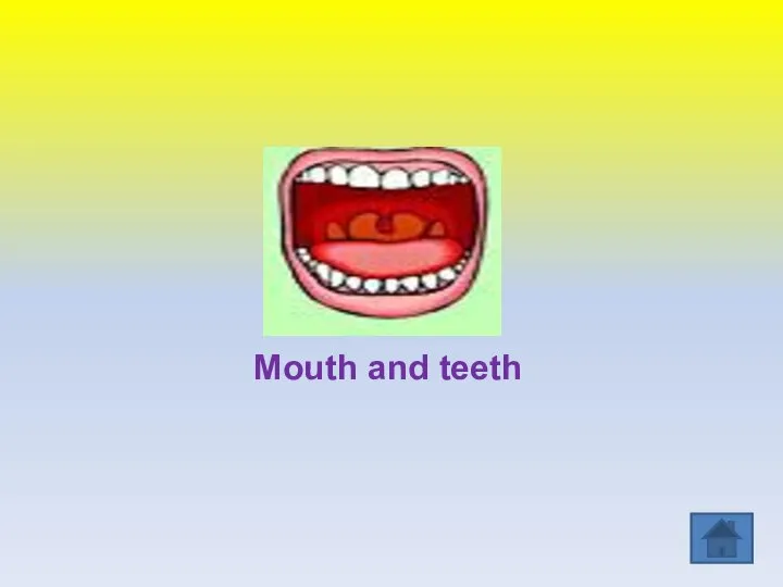 Mouth and teeth