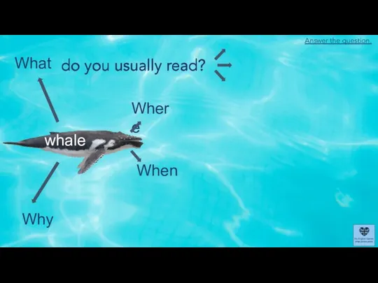 What Where When Why whale do you usually read? do you usually