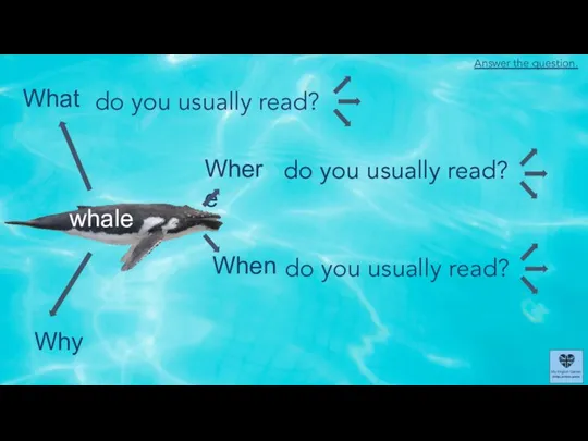 What Where When Why whale do you usually read? do you usually