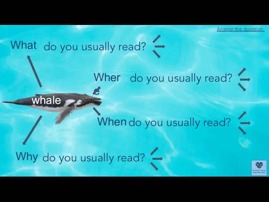 What Where When Why whale do you usually read? do you usually