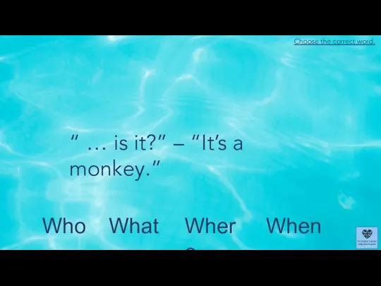 What When Who Where “ … is it?” – “It’s a monkey.” Choose the correct word.