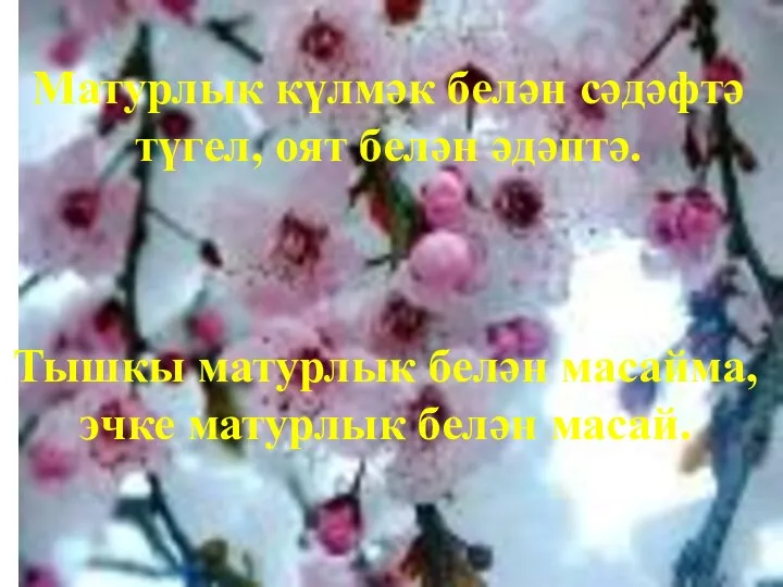 Матурлык күлмәк белән сәдәфтә түгел, оят белән әдәптә. Тышкы матурлык белән масайма, эчке матурлык белән масай.