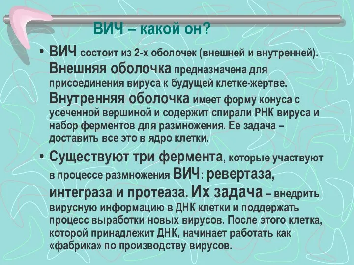 ВИЧ – какой он? ВИЧ состоит из 2-х оболочек (внешней и внутренней).