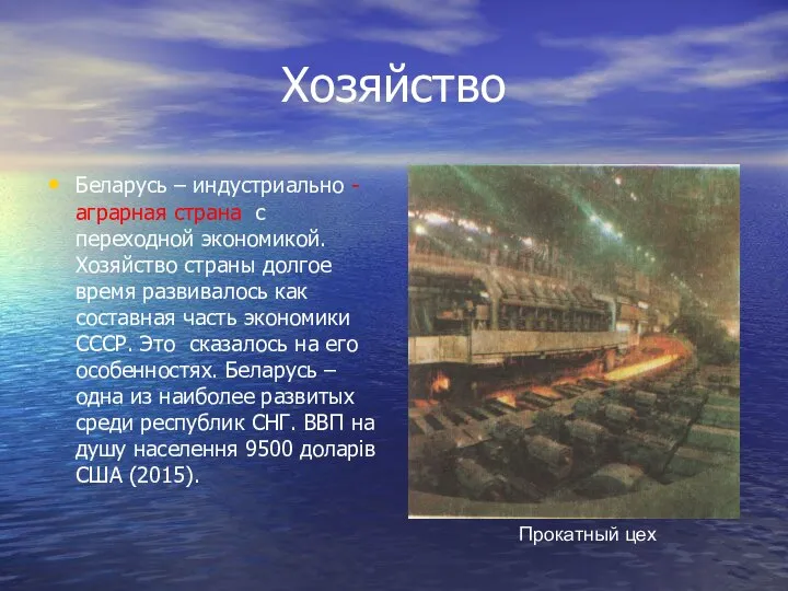 Хозяйство Беларусь – индустриально -аграрная страна с переходной экономикой. Хозяйство страны долгое