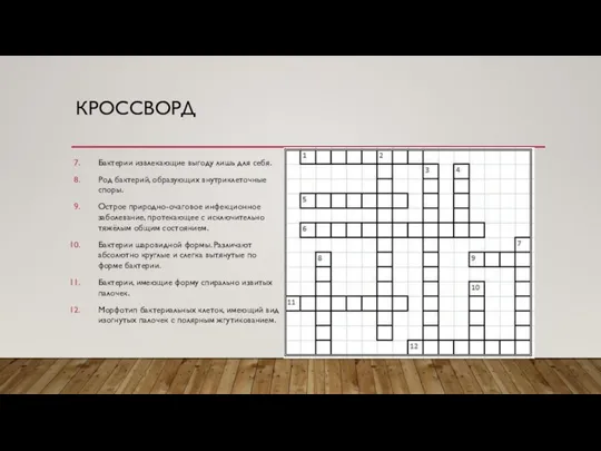 КРОССВОРД Бактерии извлекающие выгоду лишь для себя. Род бактерий, образующих внутриклеточные споры.