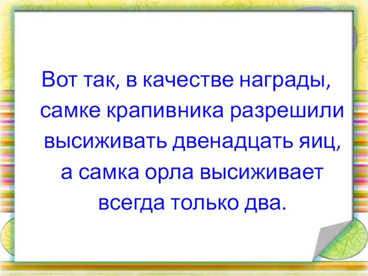 Вот так, в качестве награды, самке крапивника разрешили высиживать двенадцать яиц, а