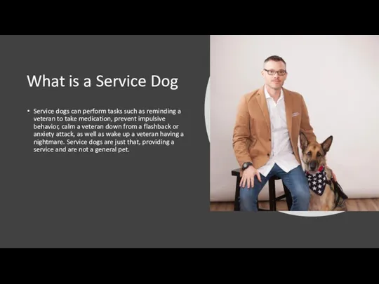 What is a Service Dog Service dogs can perform tasks such as