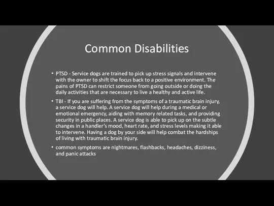 Common Disabilities PTSD - Service dogs are trained to pick up stress