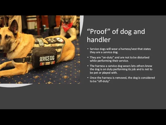 “Proof” of dog and handler Service dogs will wear a harness/vest that