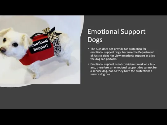 Emotional Support Dogs The ADA does not provide for protection for emotional