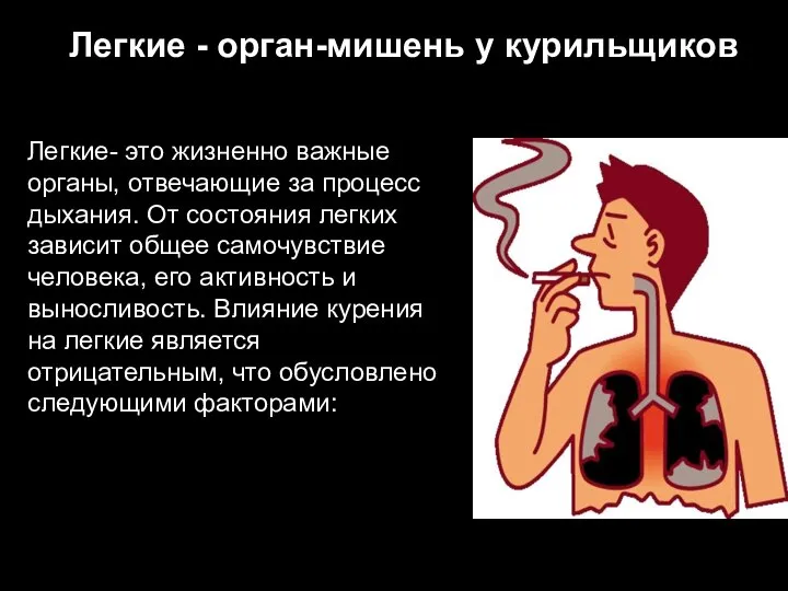 Легкие - орган-мишень у курильщиков Легкие- это жизненно важные органы, отвечающие за