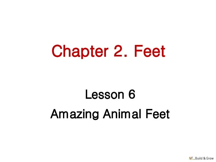 Chapter 2. Feet Lesson 6 Amazing Animal Feet