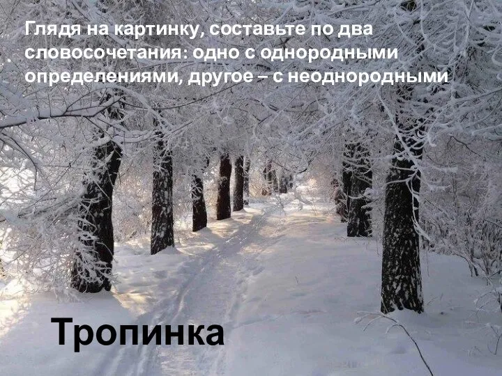 Тропинка Глядя на картинку, составьте по два словосочетания: одно с однородными определениями, другое – с неоднородными