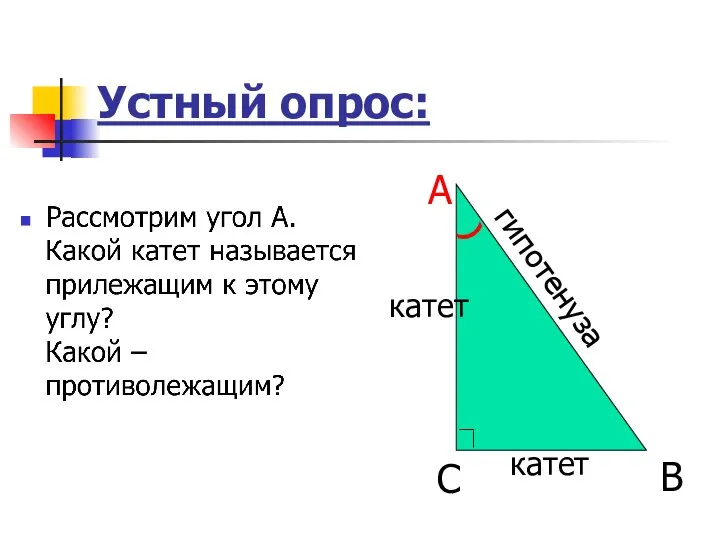 Устный опрос: А С В гипотенуза катет катет (