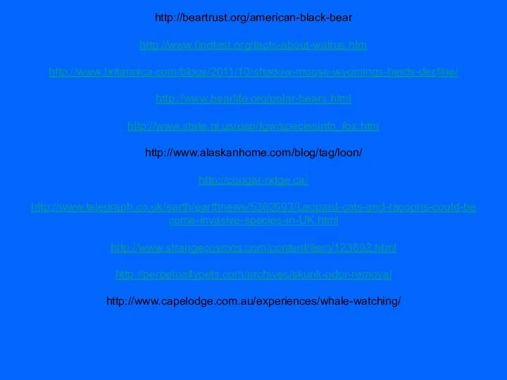 http://beartrust.org/american-black-bear http://www.findfast.org/facts-about-walrus.htm http://www.britannica.com/blogs/2011/10/shadow-moose-wyomings-herds-decline/ http://www.bearlife.org/polar-bears.html http://www.state.nj.us/dep/fgw/speciesinfo_fox.htm http://www.alaskanhome.com/blog/tag/loon/ http://cougar-ridge.ca/ http://www.telegraph.co.uk/earth/earthnews/5362693/Leopard-cats-and-racoons-could-become-invasive-species-in-UK.html http://www.strangecosmos.com/content/item/123692.html http://perpetuallypets.com/archives/skunk-odor-removal http://www.capelodge.com.au/experiences/whale-watching/
