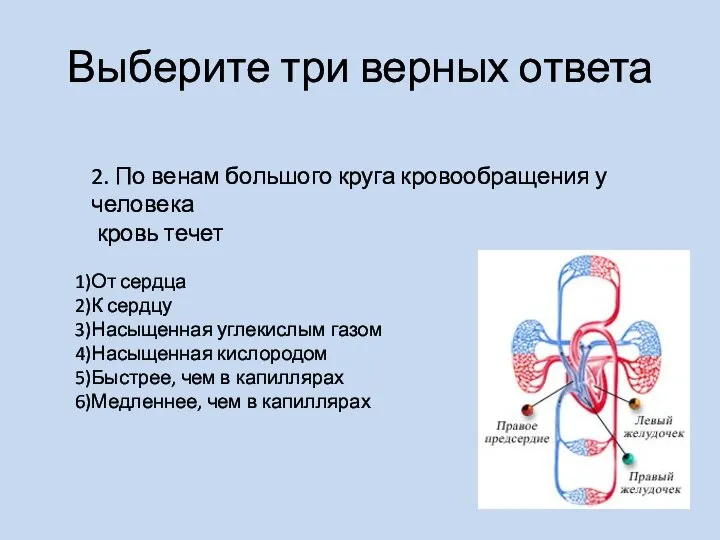 Выберите три верных ответа 2. По венам большого круга кровообращения у человека