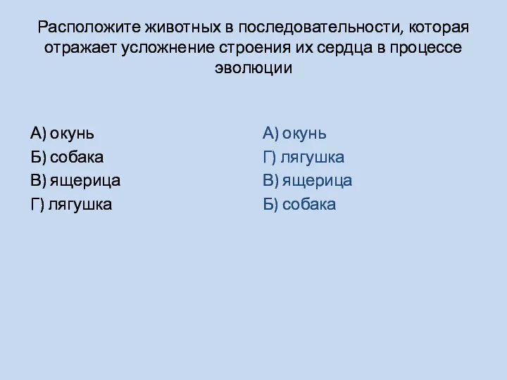 Расположите животных в последовательности, которая отражает усложнение строения их сердца в процессе