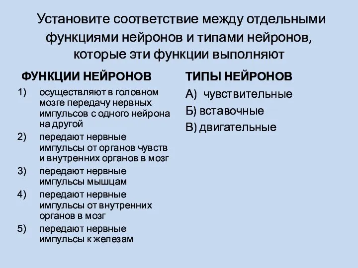 Установите соответствие между отдельными функциями нейронов и типами нейронов, которые эти функции