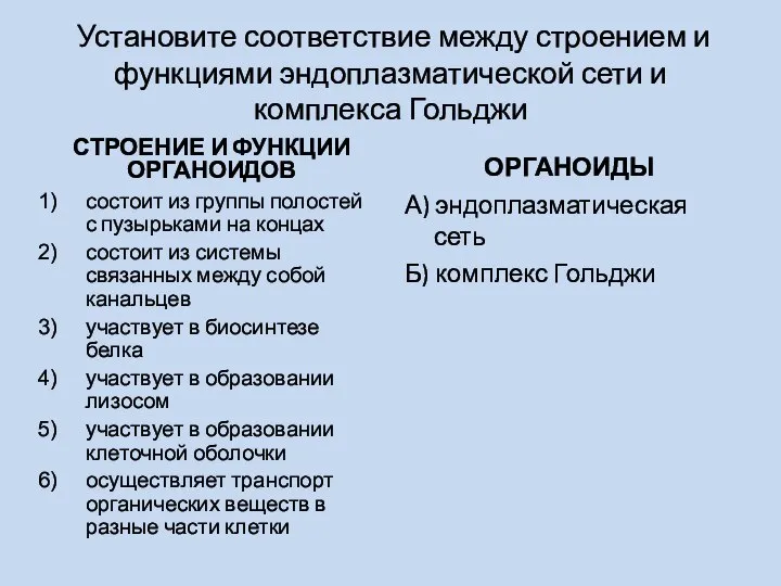 Установите соответствие между строением и функциями эндоплазматической сети и комплекса Гольджи СТРОЕНИЕ