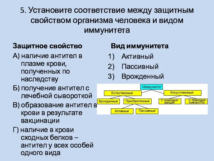 5. Установите соответствие между защитным свойством организма человека и видом иммунитета Защитное