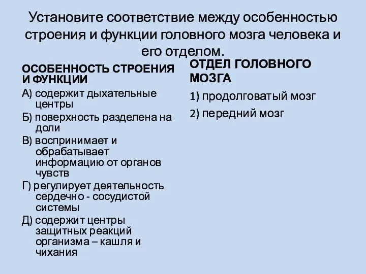 Установите соответствие между особенностью строения и функции головного мозга человека и его